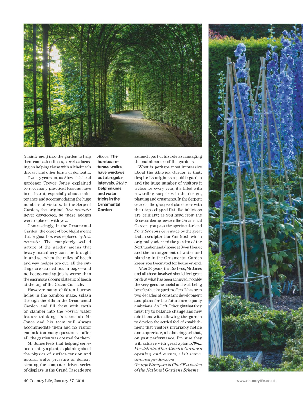 Country Life Preview Pages