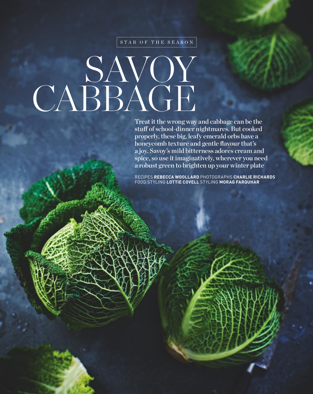 delicious. Magazine Preview Pages