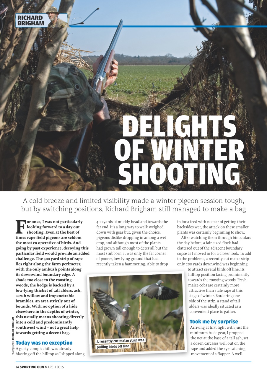 Sporting Gun Preview Pages
