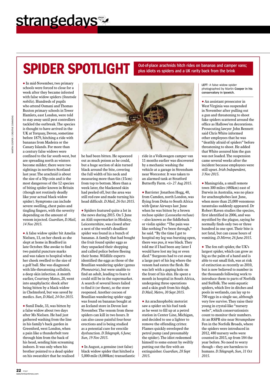 Fortean Times Preview Pages