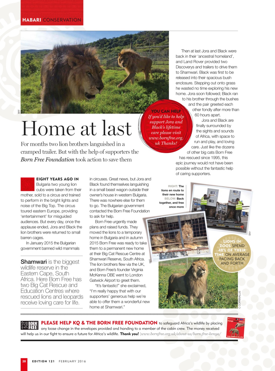 MSAFIRI – Kenya Airways Inflight Preview Pages