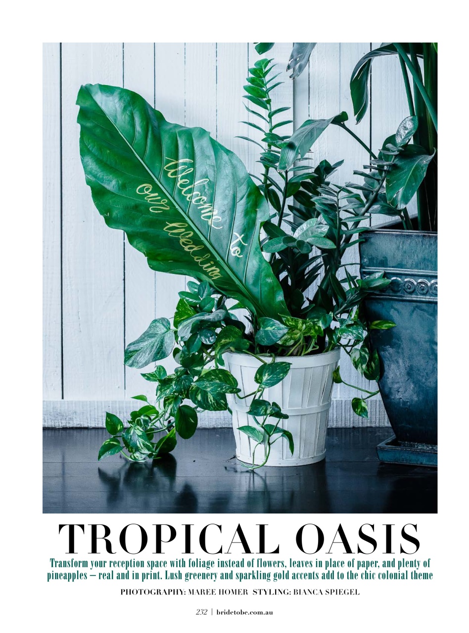 Bride To Be Preview Pages