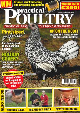 Practical Poultry issue No. 147 Pint-sized perfection
