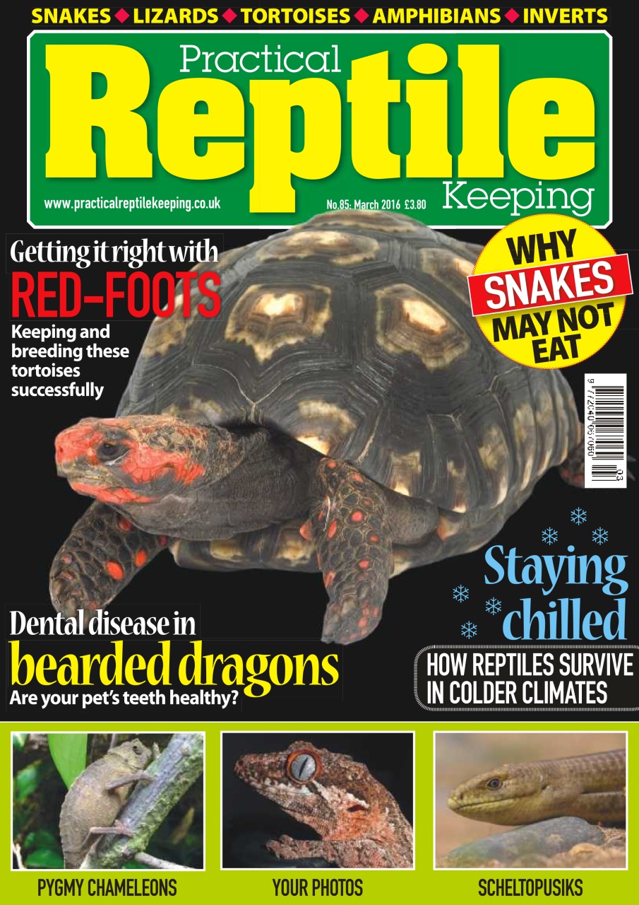 Practical Reptile Keeping Preview Pages