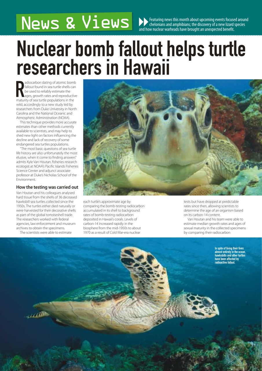 Practical Reptile Keeping Preview Pages