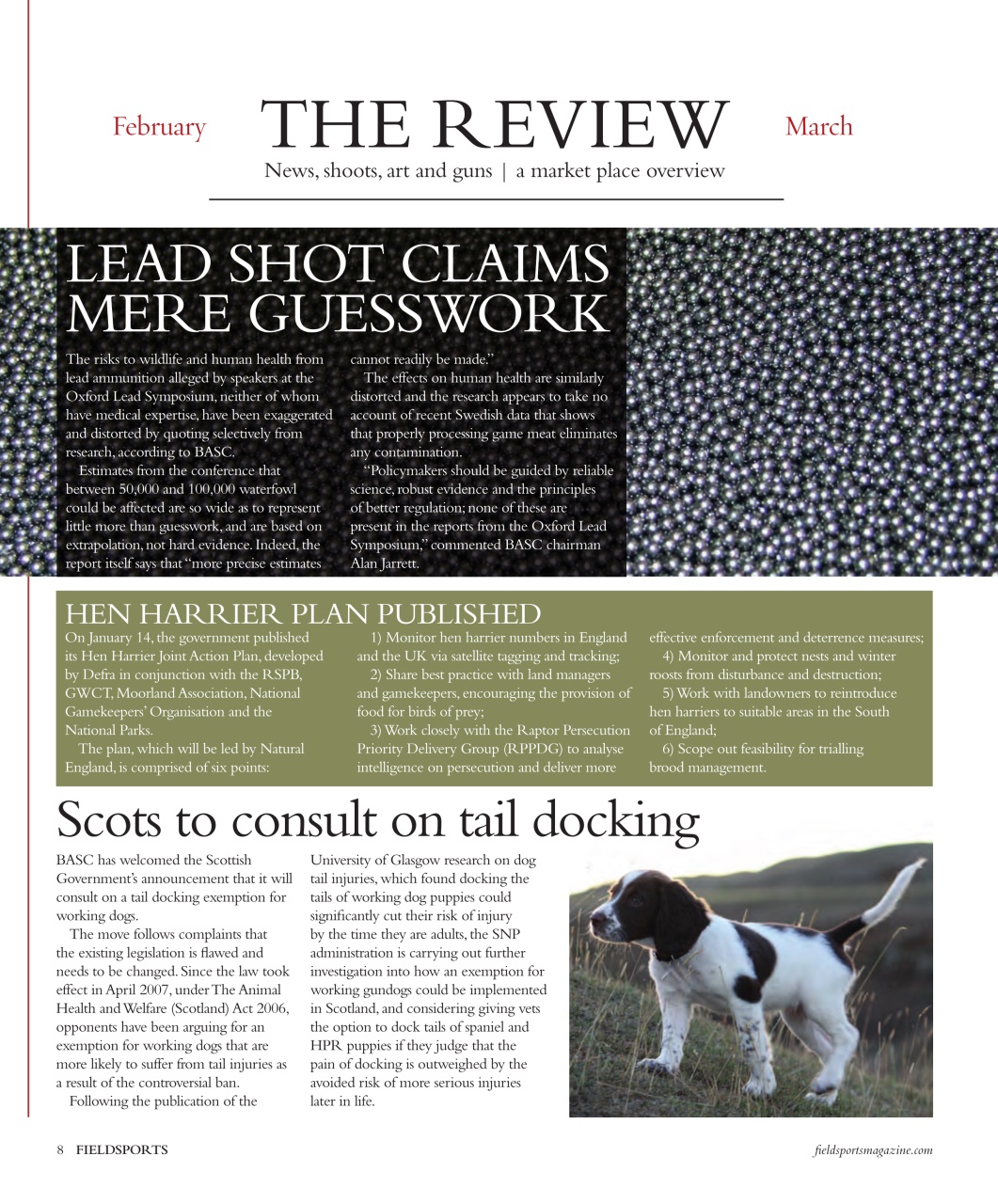 Fieldsports Journal Preview Pages