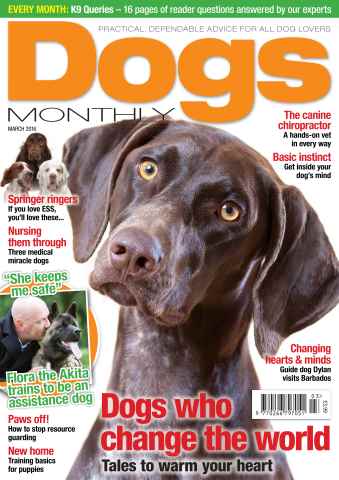 Dogs Monthly issue March 2016