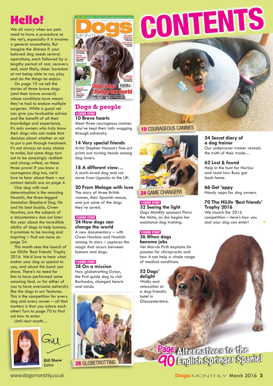 Dogs Monthly Preview Pages