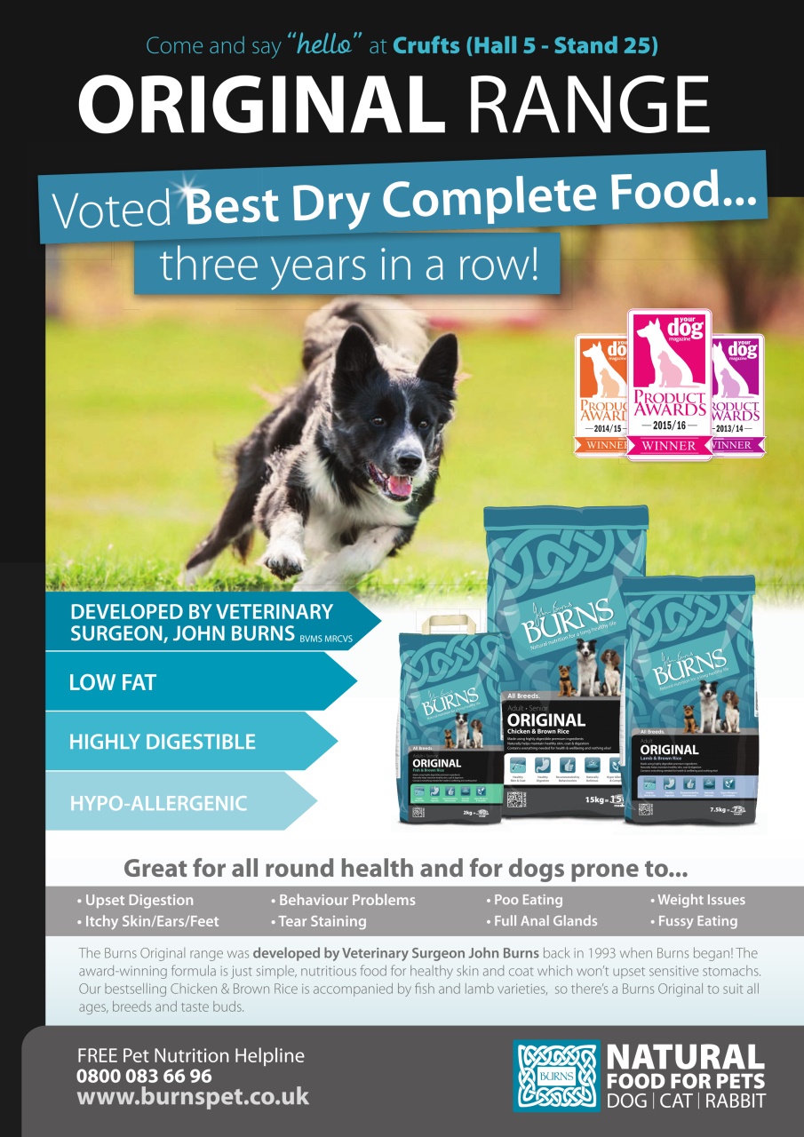 Dogs Monthly Preview Pages