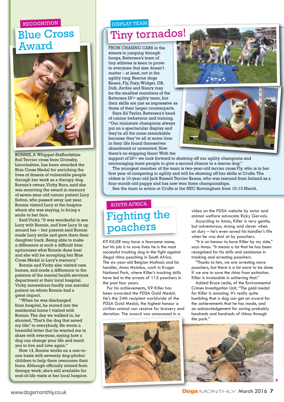 Dogs Monthly Preview Pages