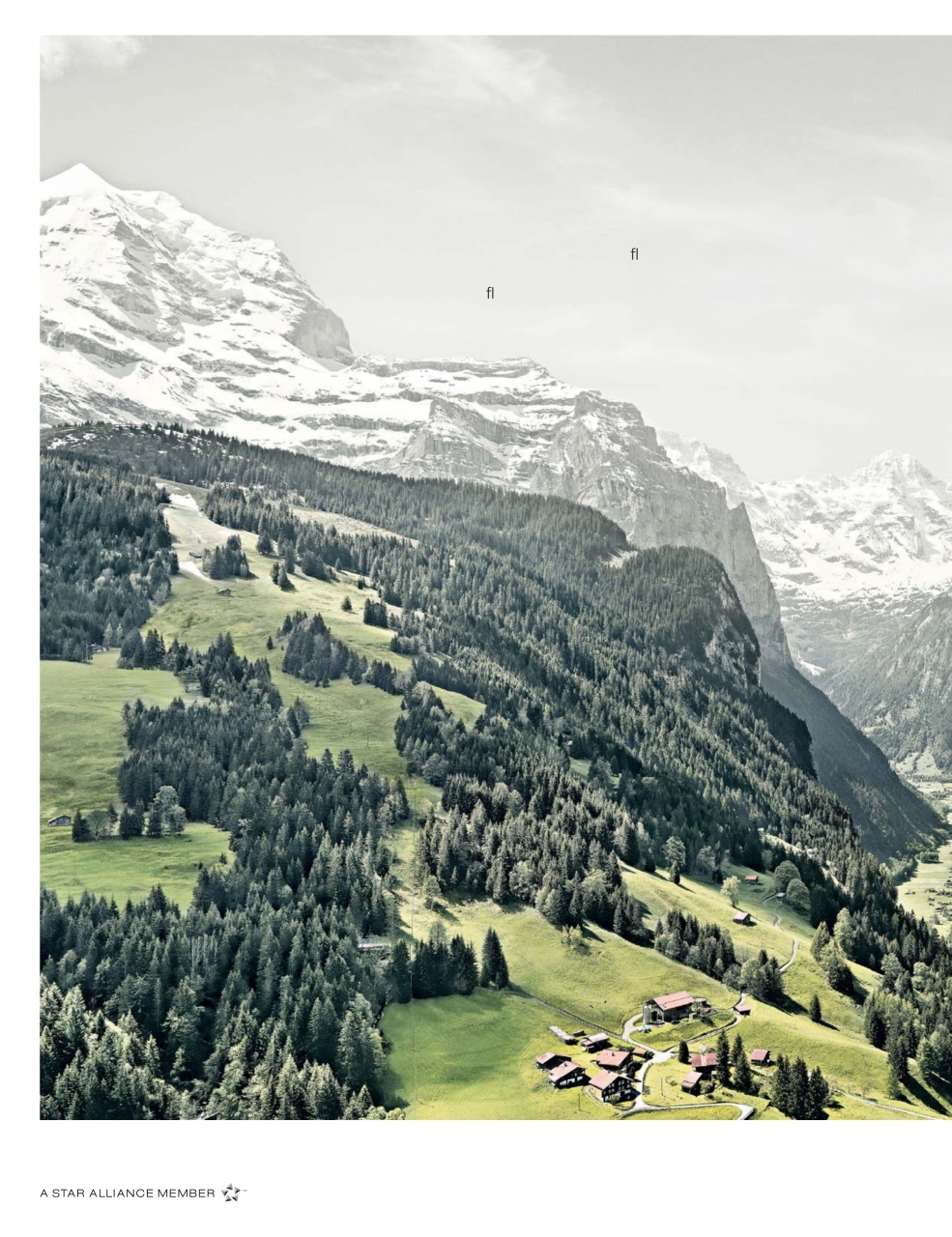 Passport Preview Pages