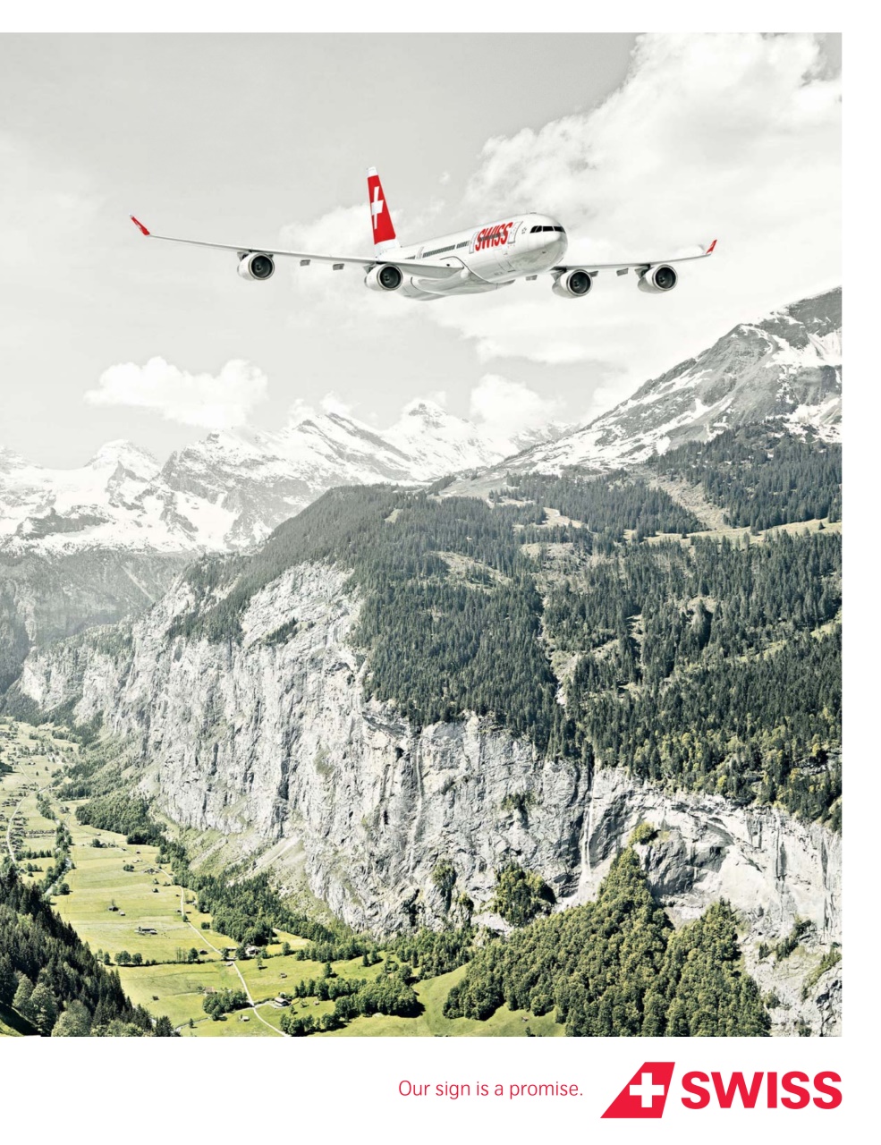 Passport Preview Pages