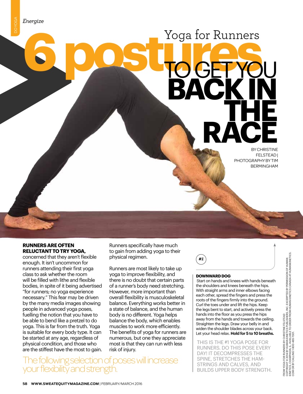 Sweat Equity Preview Pages