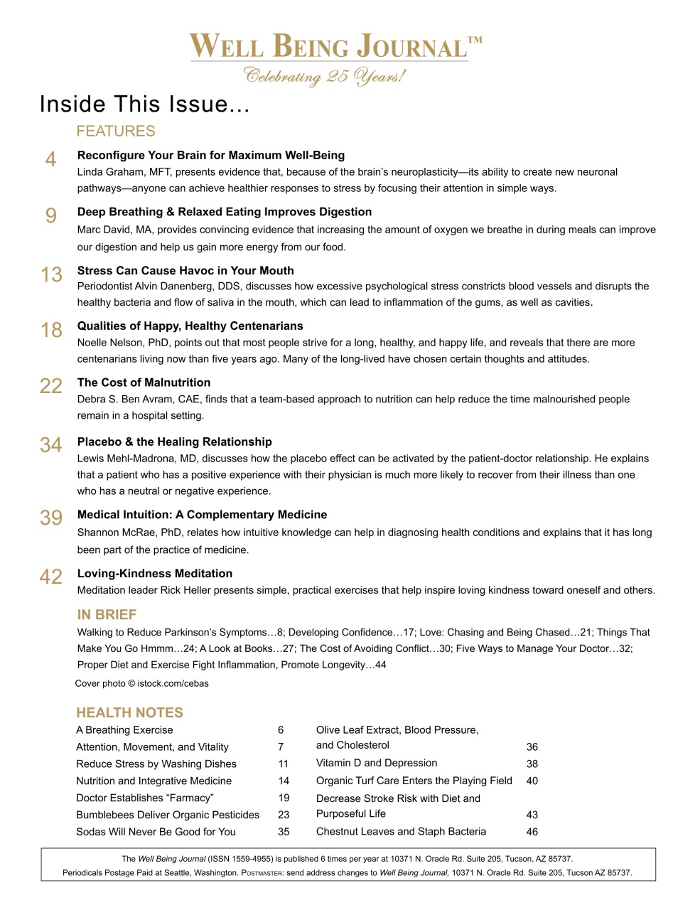 Well Being Journal Preview Pages