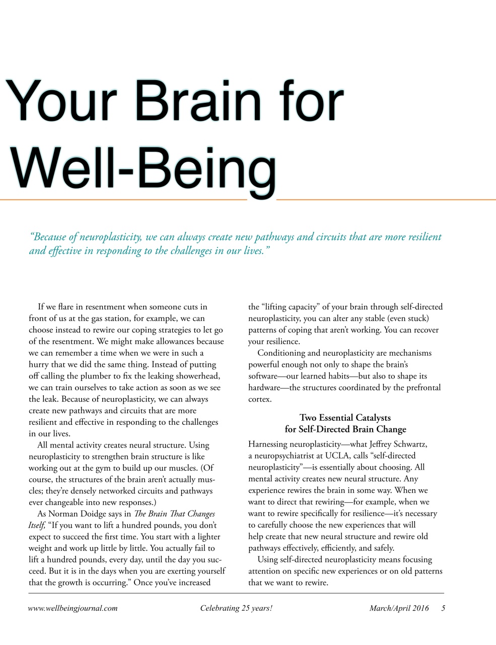 Well Being Journal Preview Pages