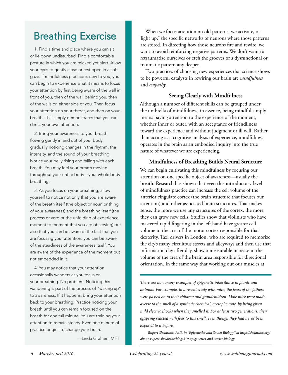 Well Being Journal Preview Pages