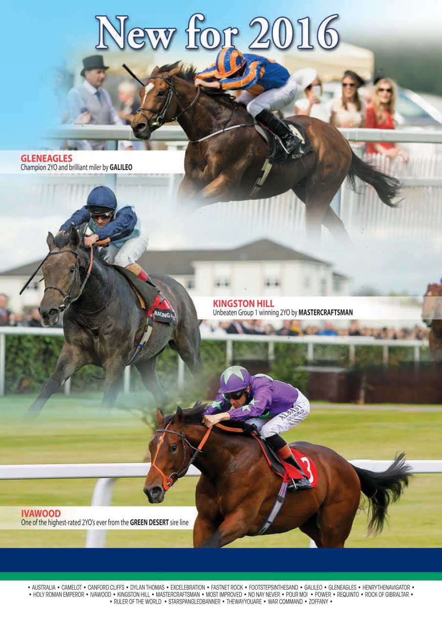 The Owner Breeder Preview Pages