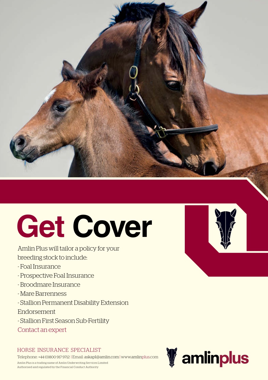 The Owner Breeder Preview Pages
