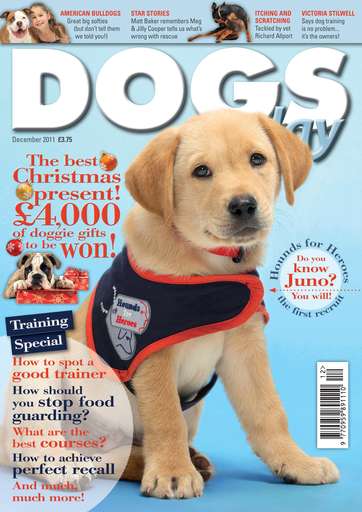 Dogs Today Magazine issue 