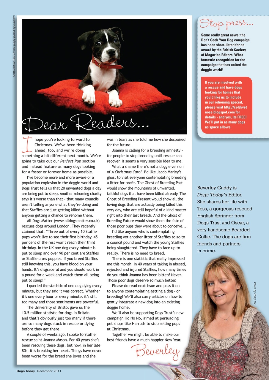 Dogs Today Magazine Preview Pages