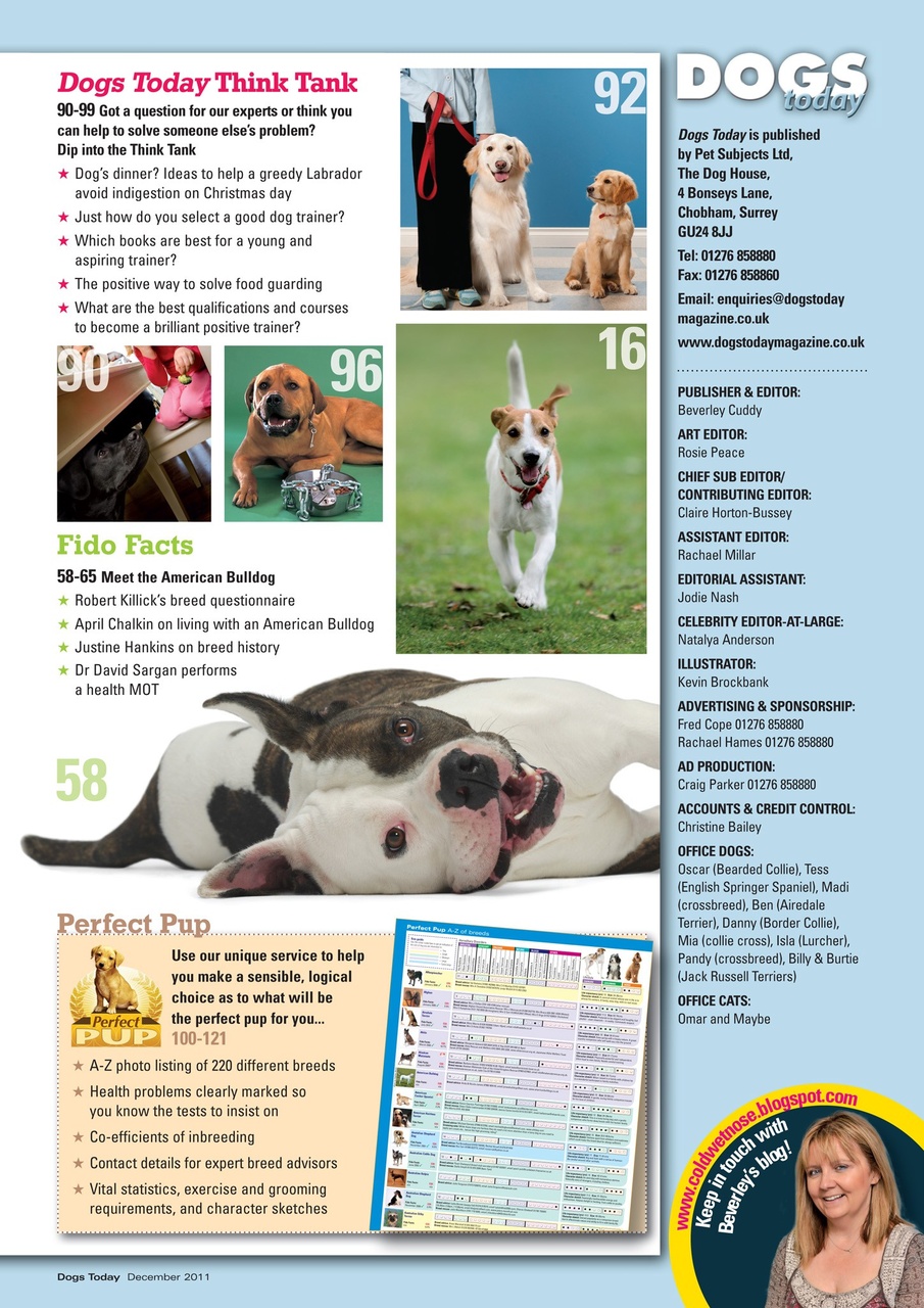 Dogs Today Magazine Preview Pages