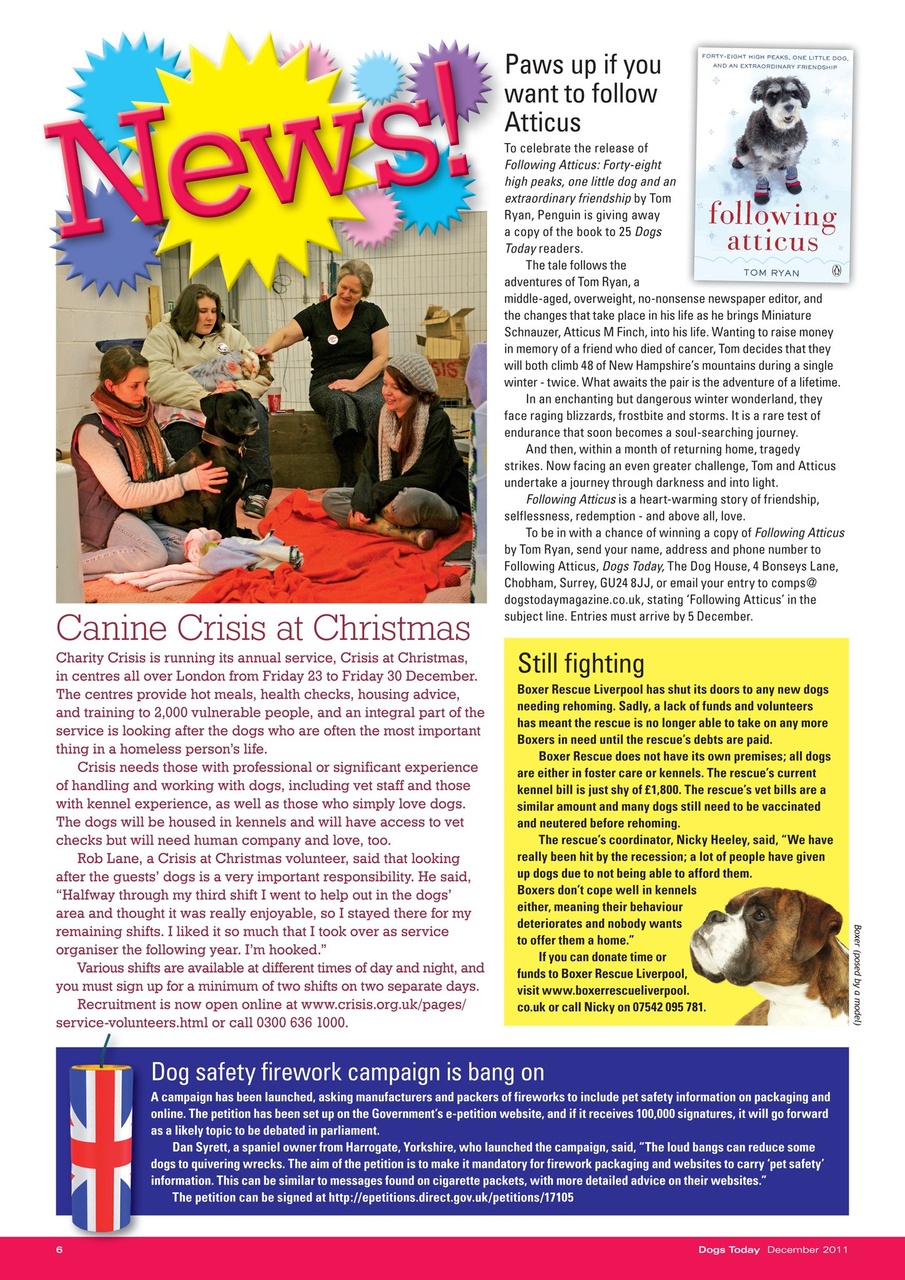 Dogs Today Magazine Preview Pages