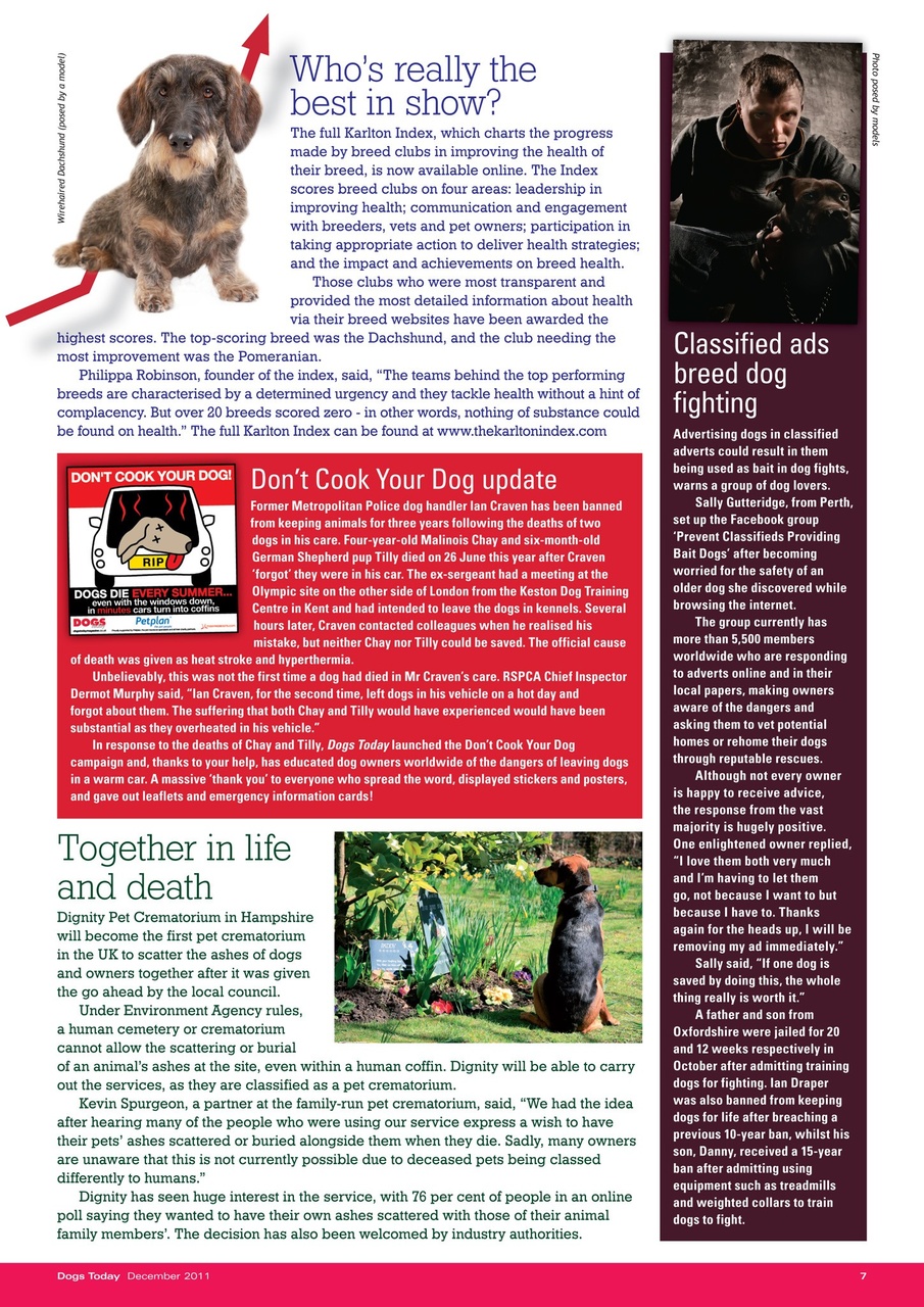 Dogs Today Magazine Preview Pages