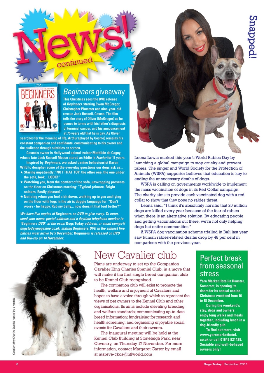 Dogs Today Magazine Preview Pages