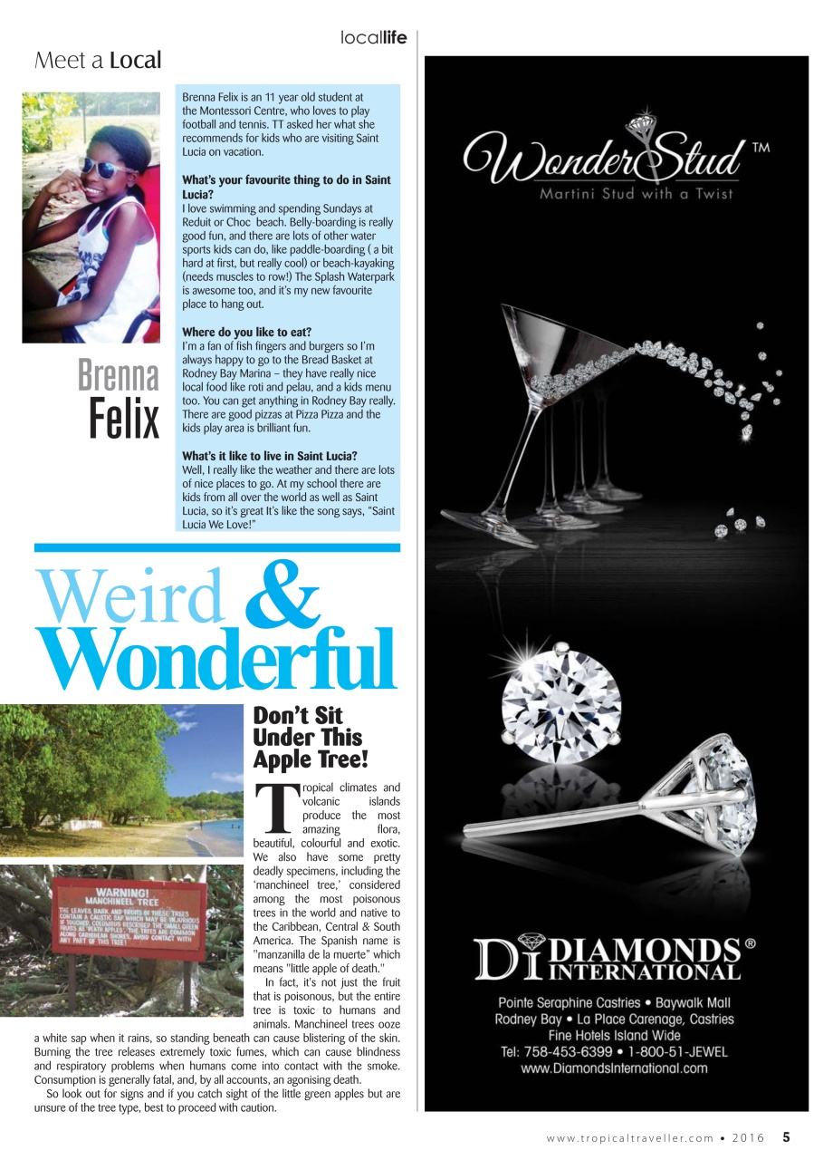 Tropical Traveller Preview Pages