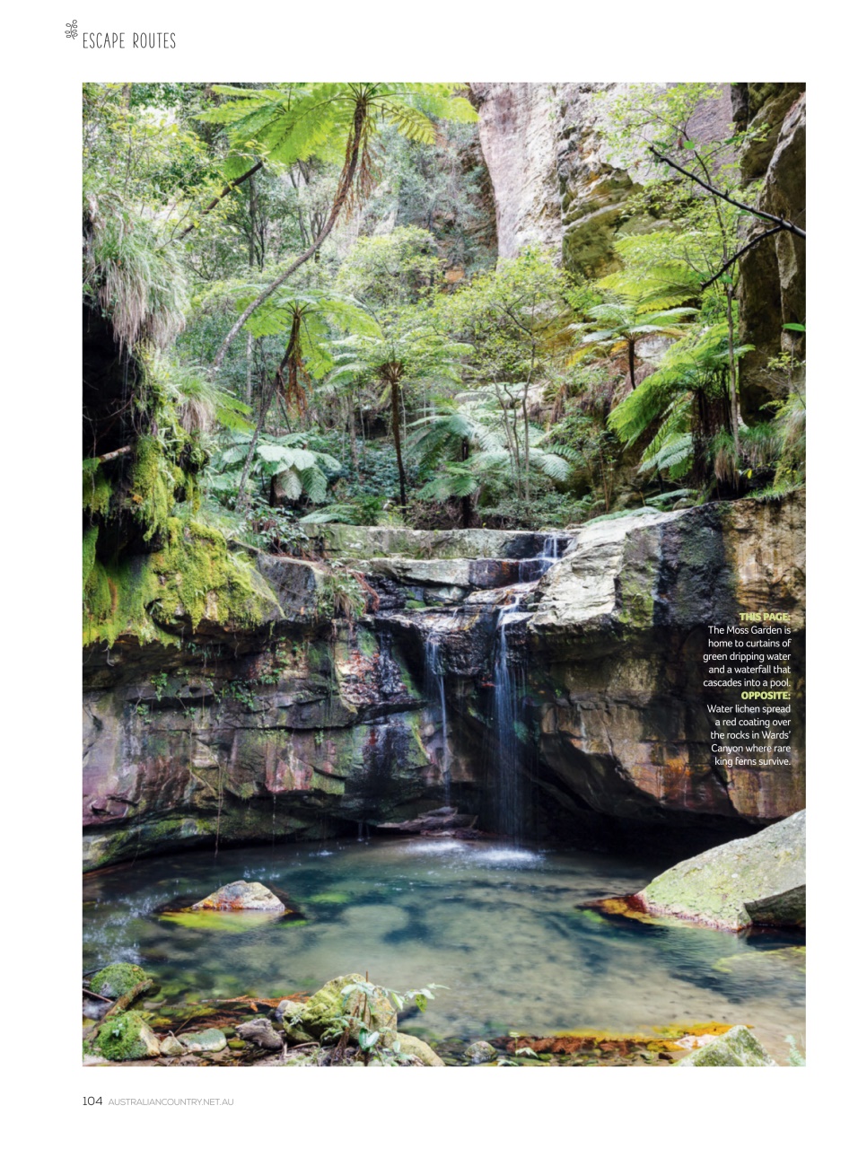 Australian Country Preview Pages