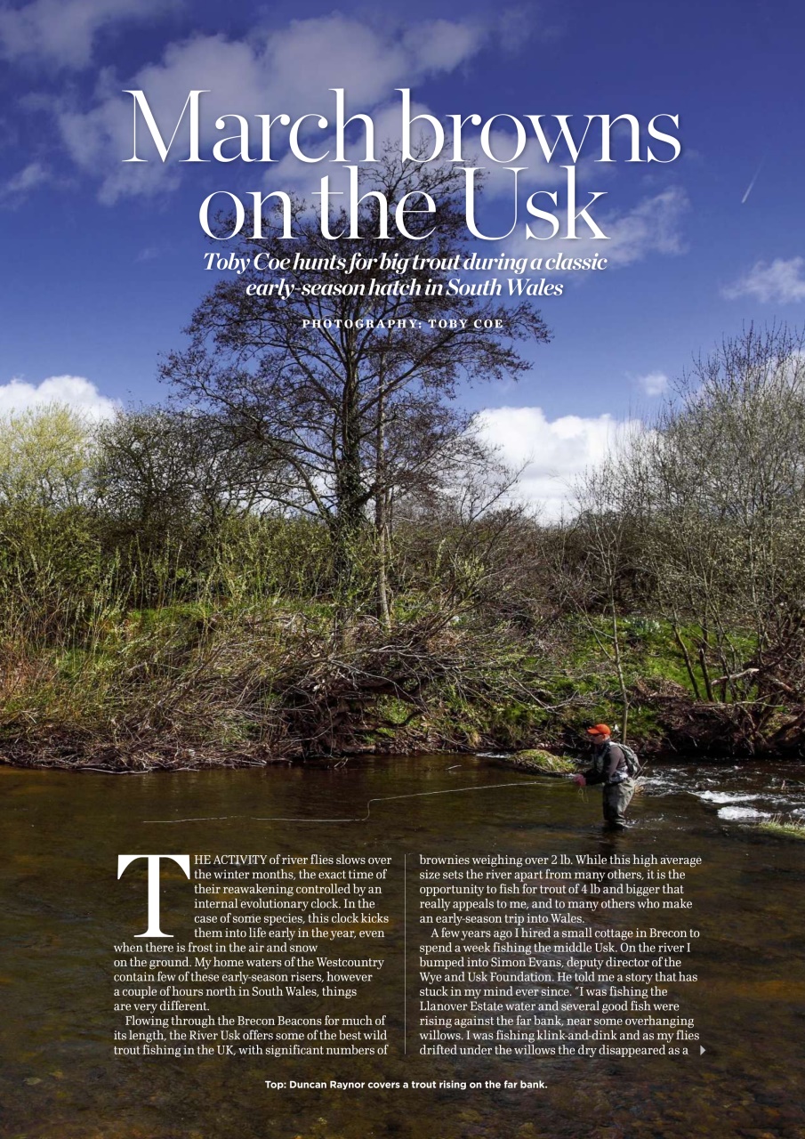 Trout & Salmon Preview Pages