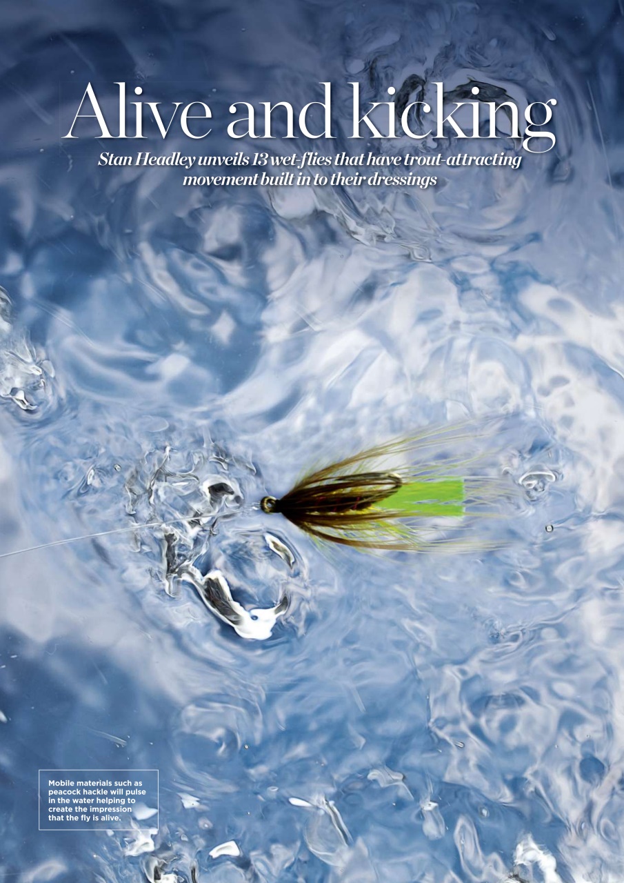 Trout & Salmon Preview Pages