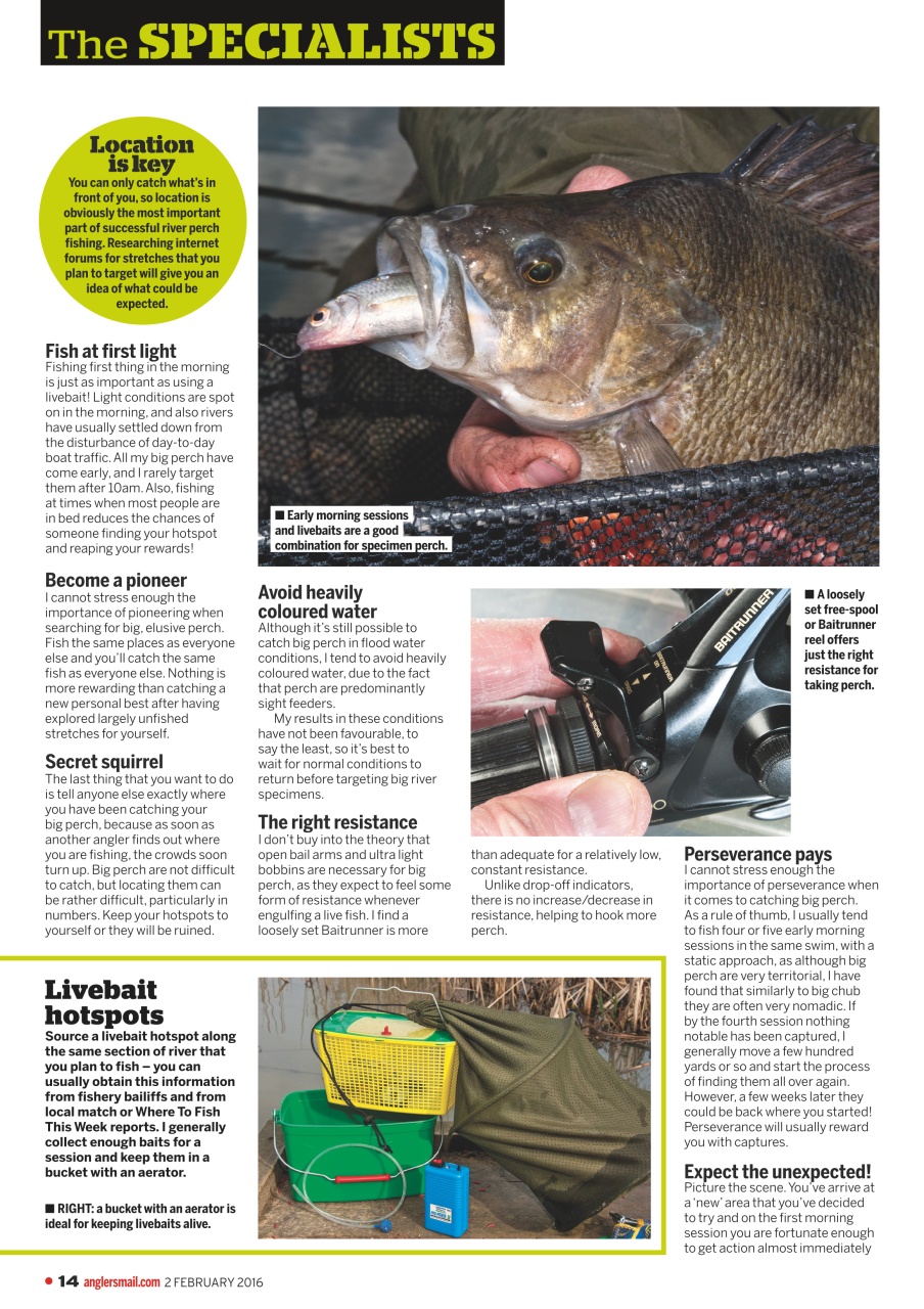 Anglers Mail Preview Pages