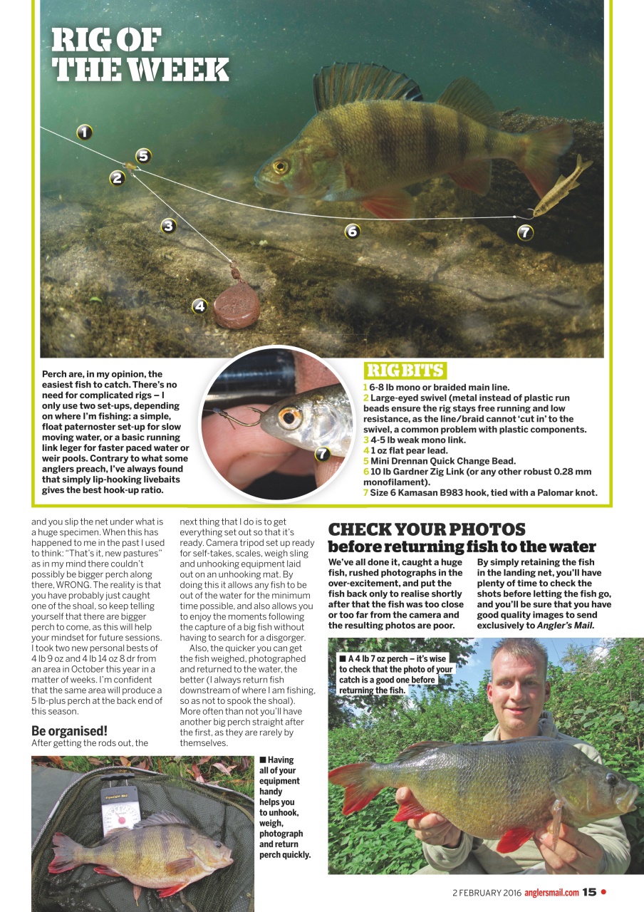 Anglers Mail Preview Pages