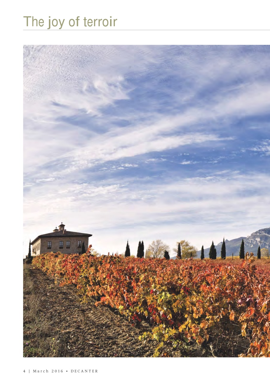 Decanter Preview Pages