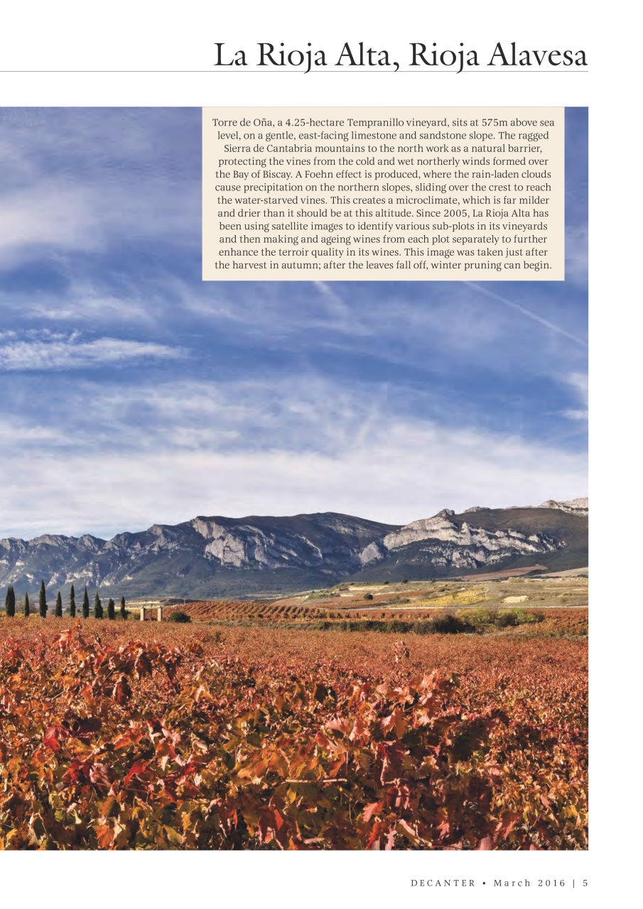 Decanter Preview Pages