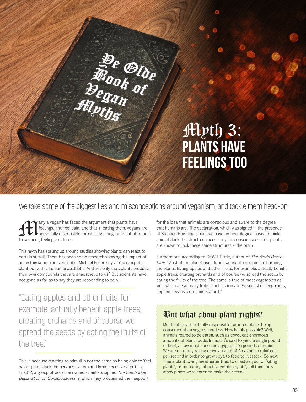 Vegan Life Preview Pages
