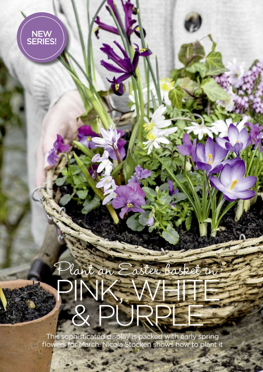 Garden Answers Preview Pages