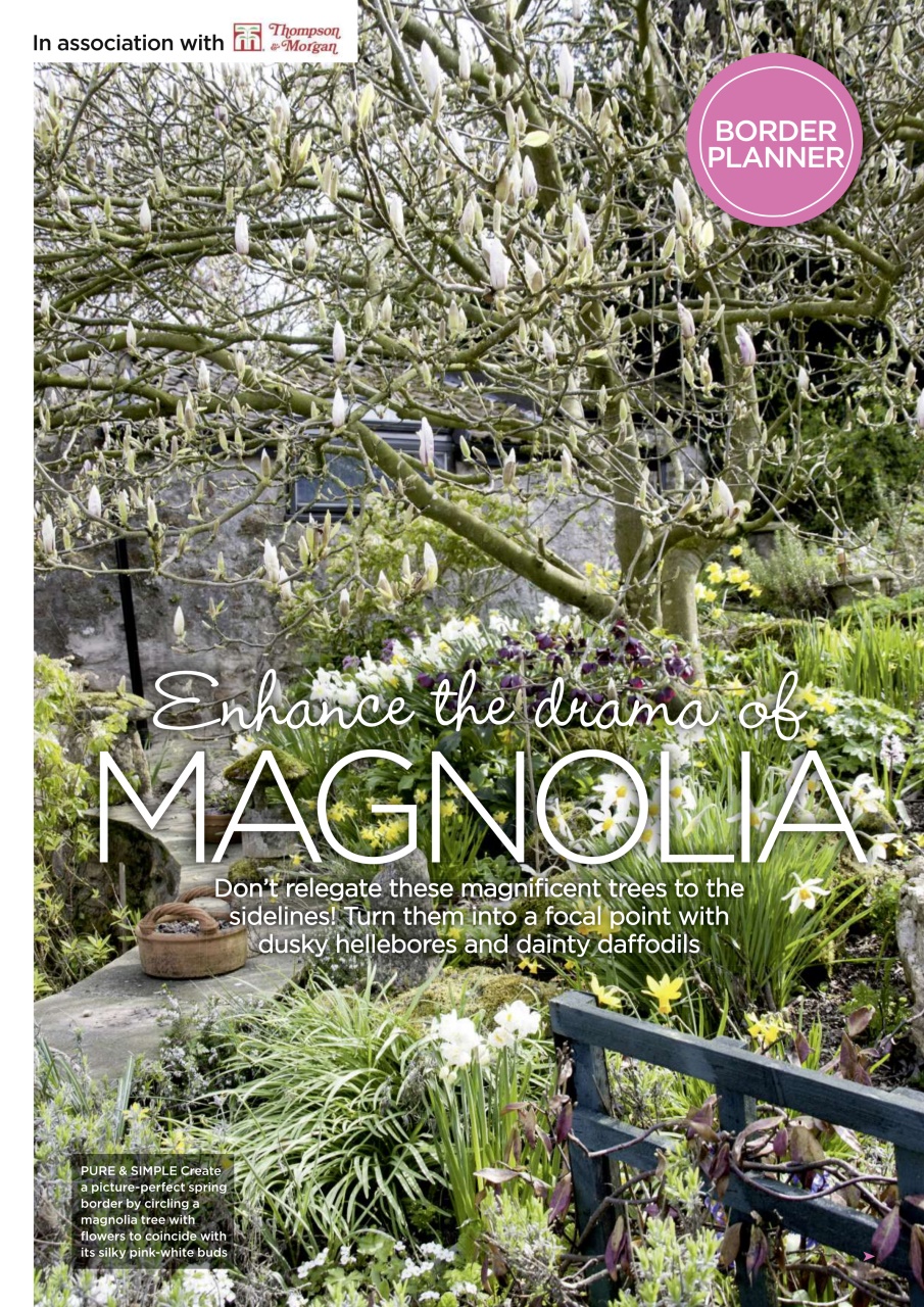 Garden Answers Preview Pages