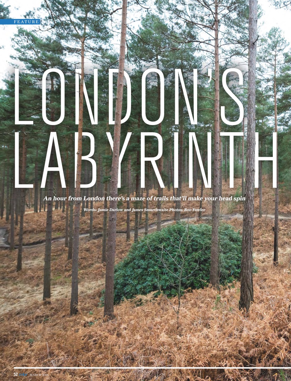 Mountain Bike Rider Preview Pages