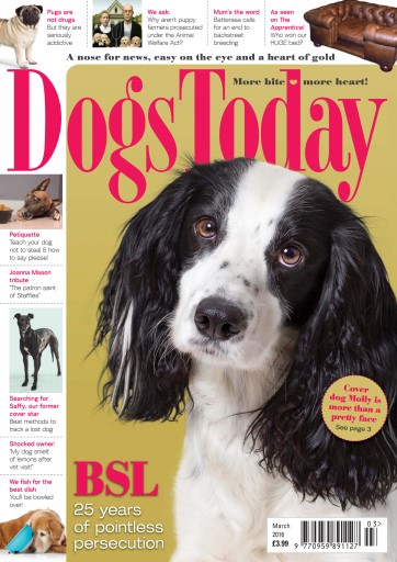 Dogs Today Magazine issue 