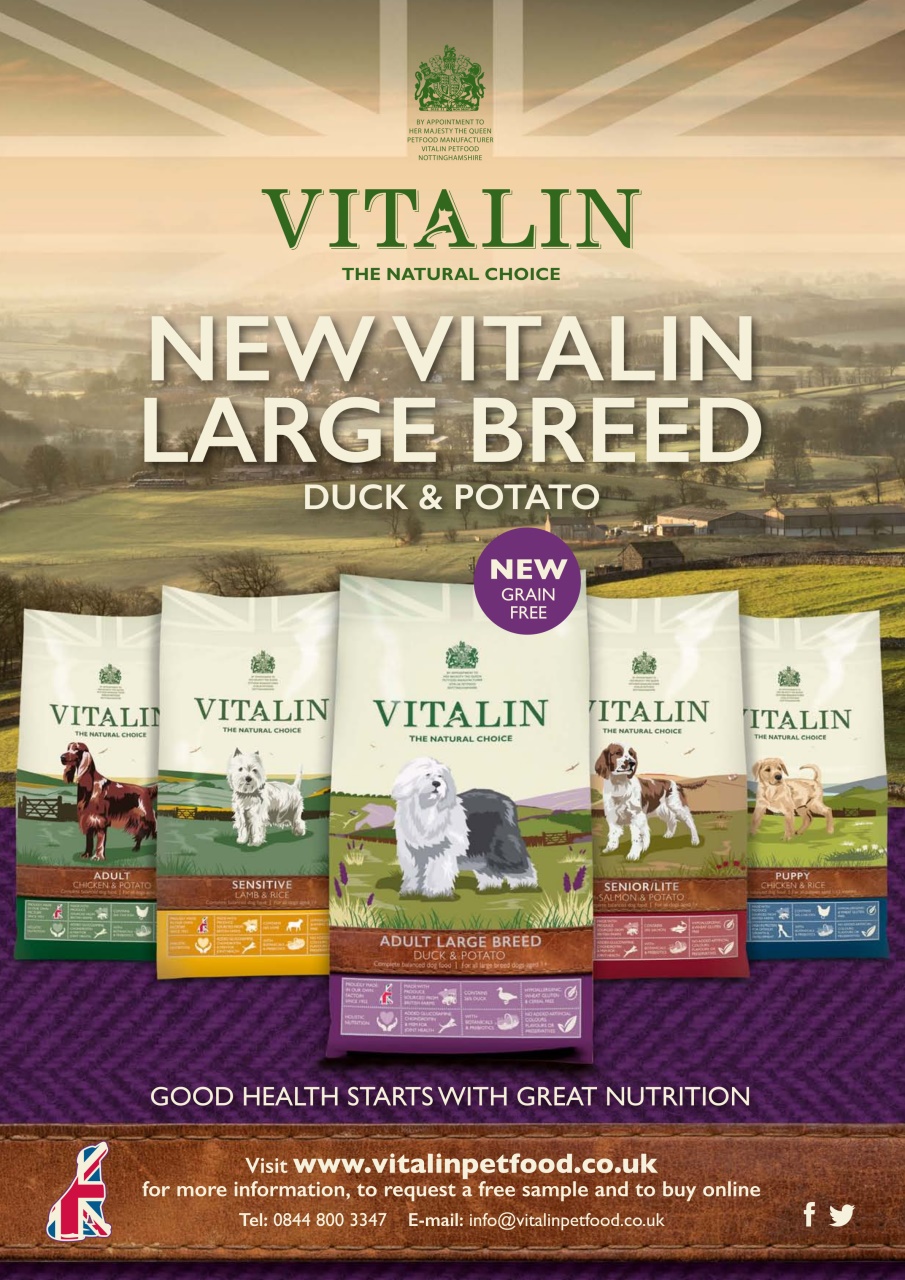 Dogs Today Magazine Preview Pages