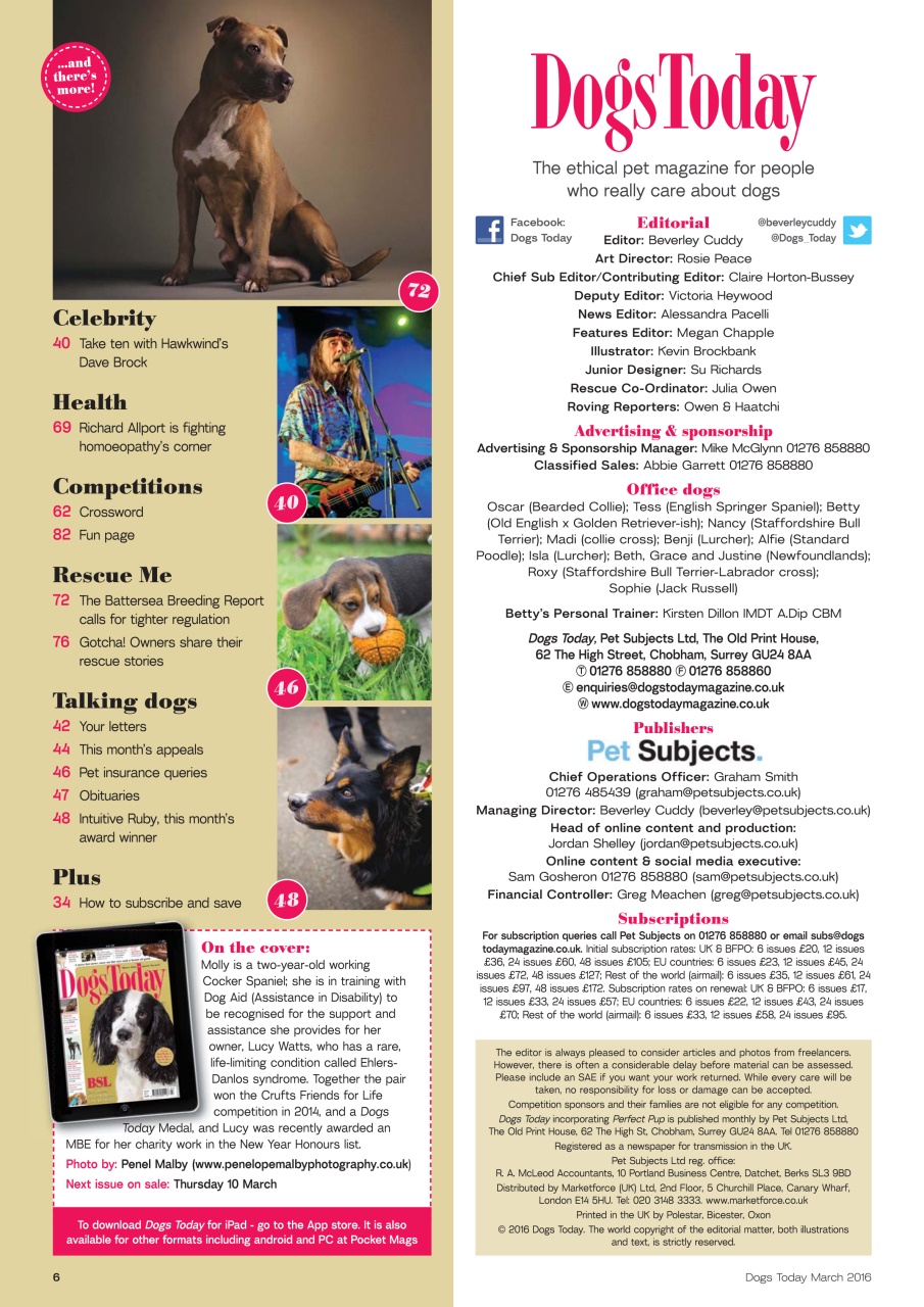 Dogs Today Magazine Preview Pages