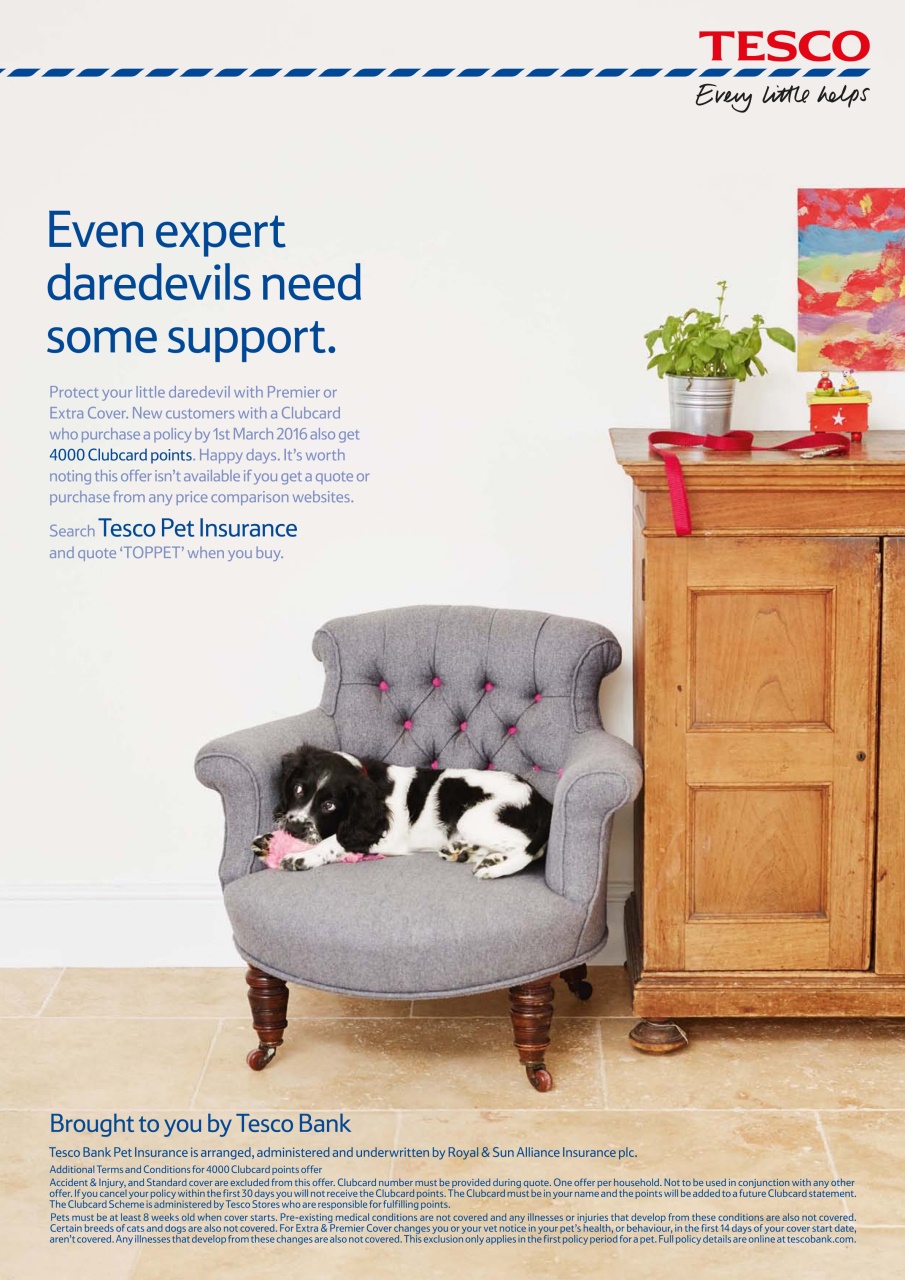 Dogs Today Magazine Preview Pages