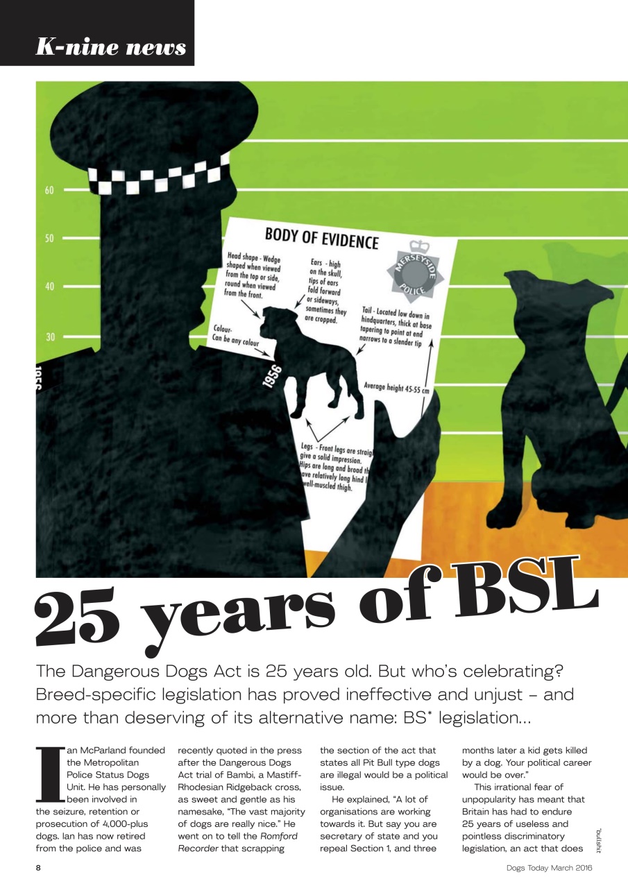 Dogs Today Magazine Preview Pages