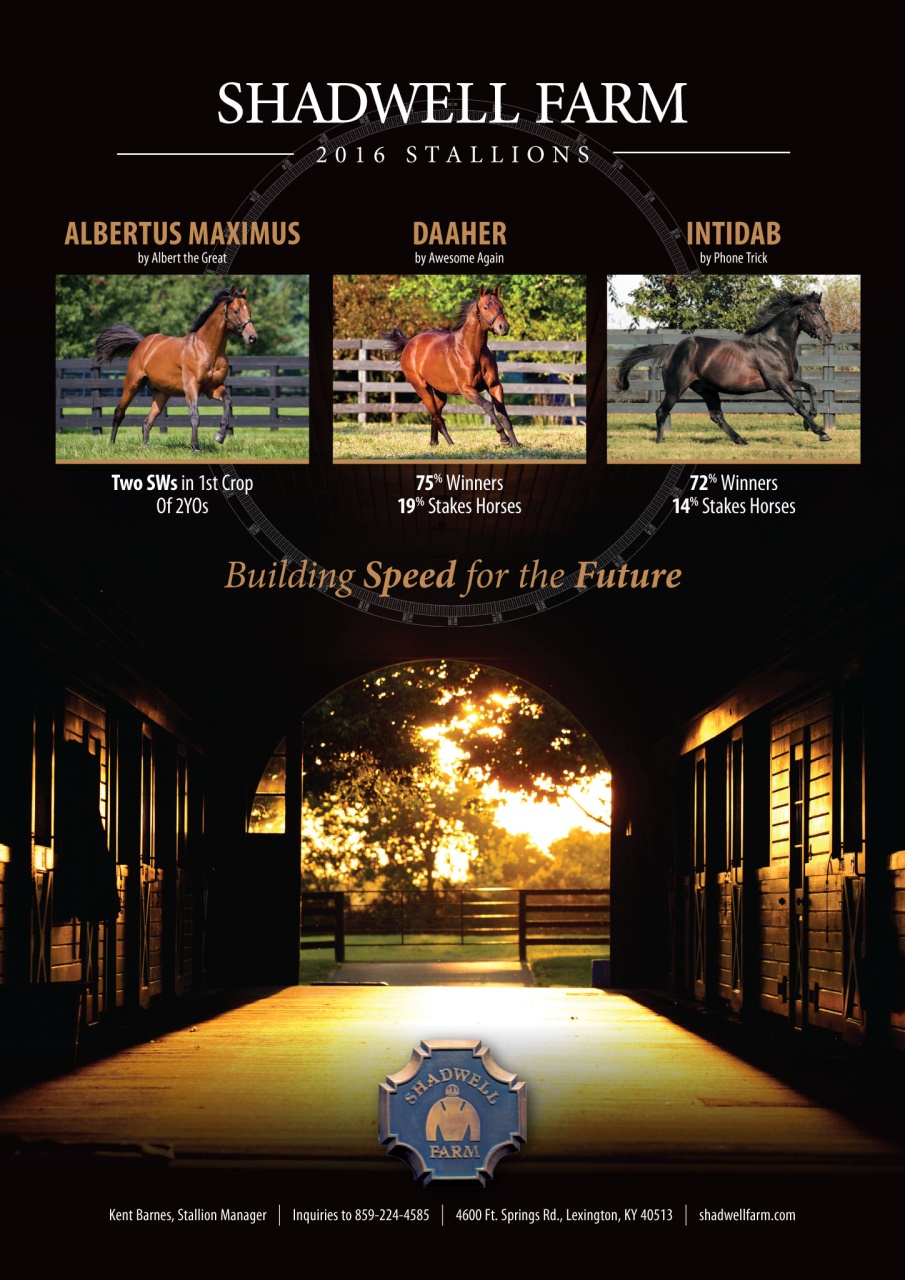 North American Trainer Magazine - horse racing Preview Pages