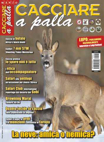 Caccia Magazine issue CACCIARE A PALLA MARZO 2015