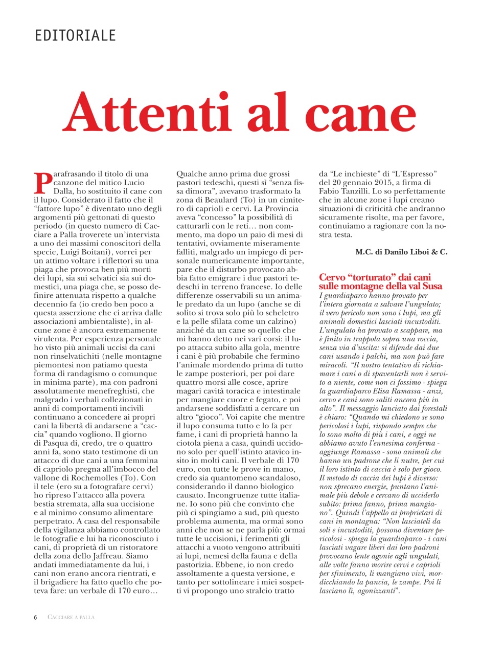 Caccia Magazine Preview Pages