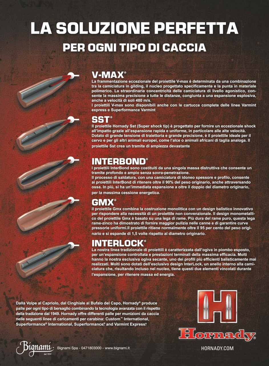 Caccia Magazine Preview Pages