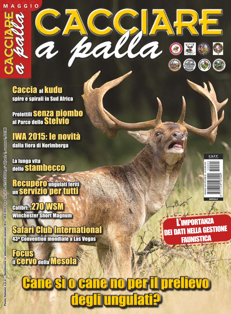 Caccia Magazine Preview Pages